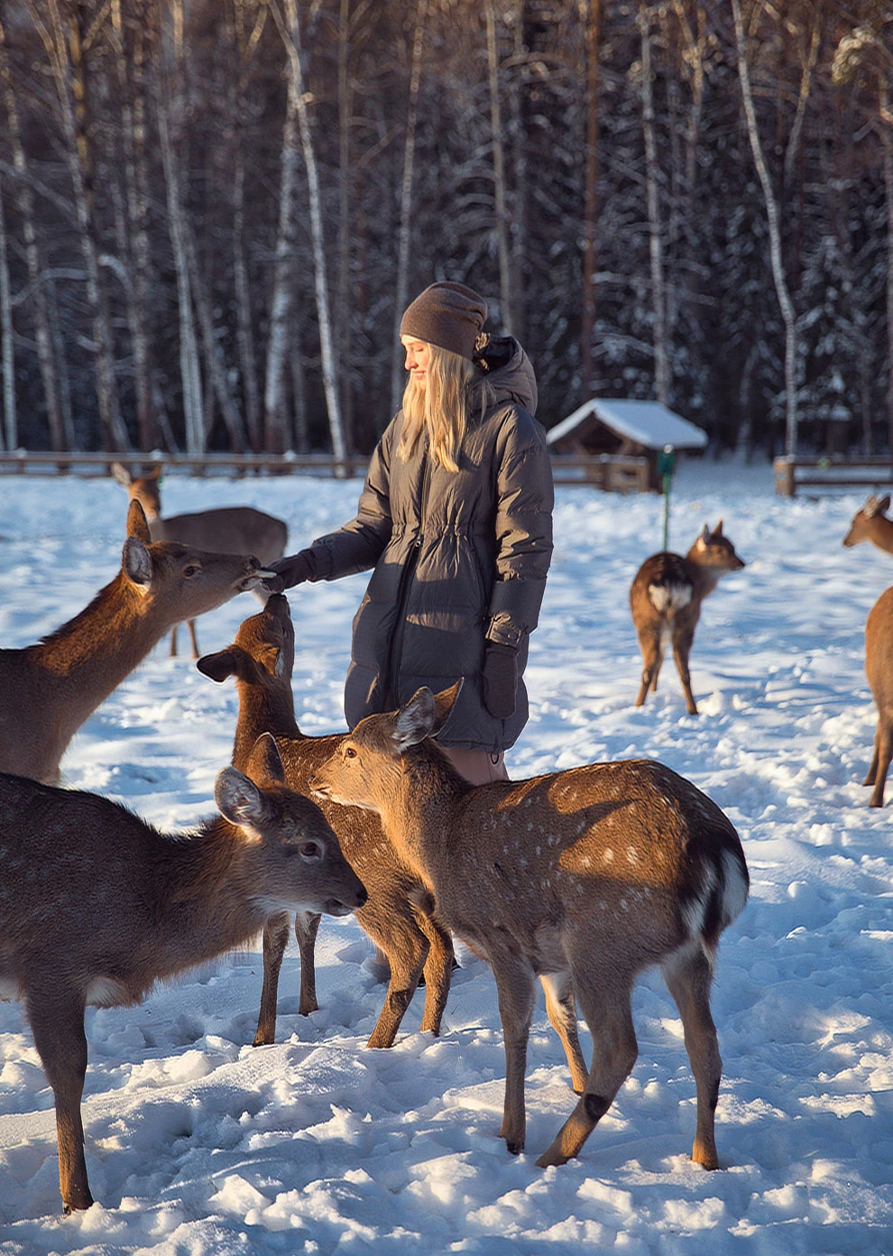 Пуховик с капюшоном (1742OW-0054-OE187)